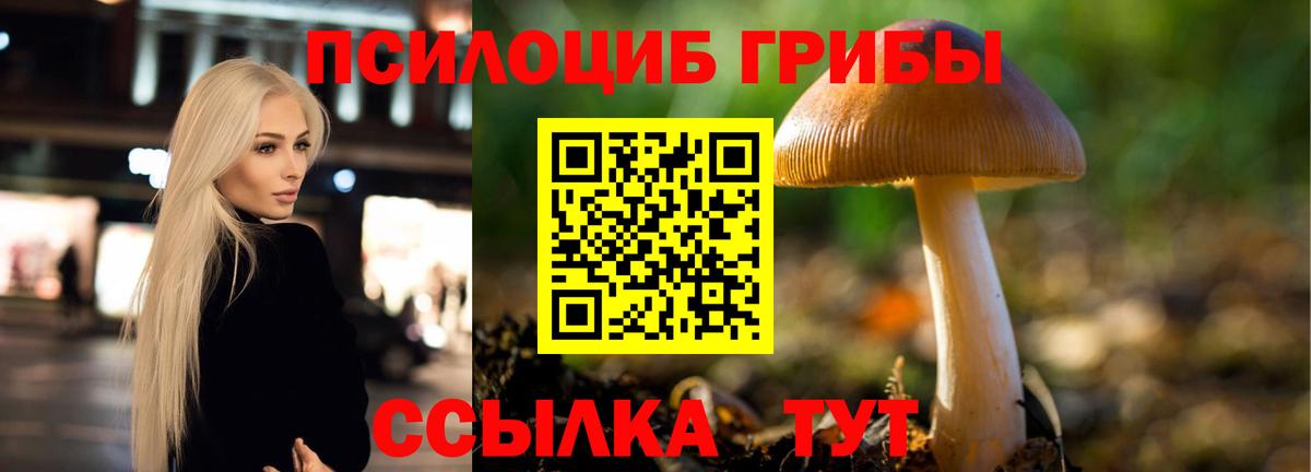 Псилоцибиновые грибы Psilocybe  Вход с VPN  Зерноград 